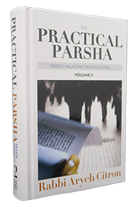 Practical Parsha #2
