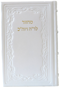 Machzor Hebrew Text & English Instructions Leather White 6 x 9