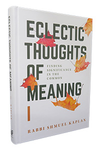 Eclectic Thoughts of Meaning #1 (Kaplan)