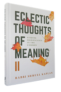 Eclectic Thoughts of Meaning #2 (Kaplan)