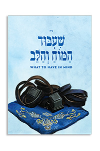 Shiybud HaMoach VehaLev - The Message of Tefillin