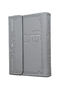 Siddur Annotated English Compact Magnet Leather-like Silver