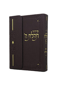 Siddur Annotated English Compact Magnet Leather-like Dark-Brown