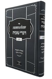Divrei Tuvia - She'elos U'Teshuvos #2