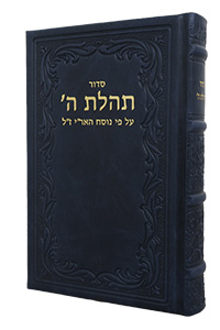 Siddur New Print Leather, Blue 6x9