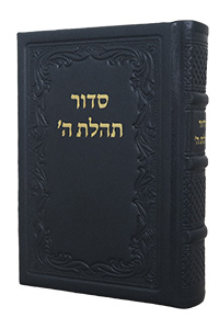 Siddur Medium New, Leather - Metallic-Slate 5 x 7