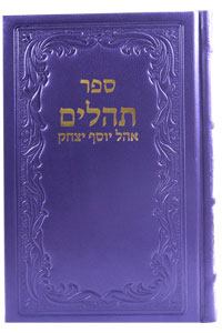 Tehillim Large Leather Purple 6 x 9