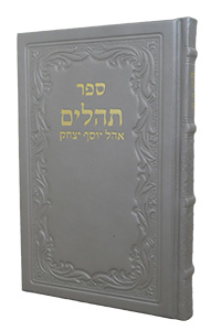 Tehillim Large Leather Silver 6 x 9