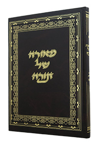 Me'orah Shel Torah