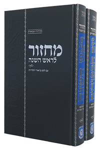 Machzorim for Rosh Hashanah & Yom Kippur, Im Leket Biurei Chasidut, 2 Volumes