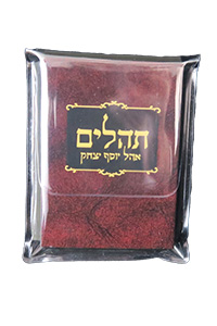Tehillim Hebrew Mini-Size Clear Edition (in a Plastic Pouch)