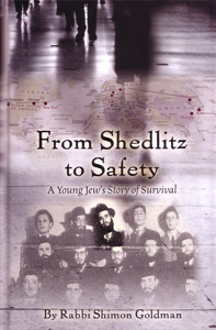 From Shedlitz to Safety