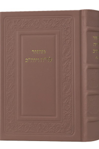 Machzor Hebrew Text & English Instructions Leather Pearl-Pink 6 x 9