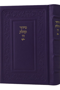 Siddur Hebrew Text & English Instructions Leather Purple 6 x 9