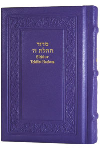 Siddur Annotated English Compact - Leather Purple 4x6