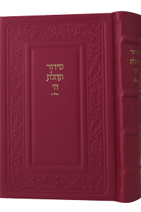 Siddur Hebrew Text & English Instructions Leather Hot-Pink 6 x 9