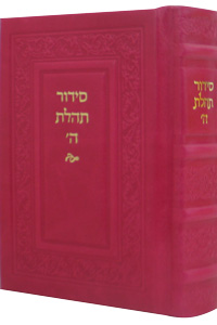 Siddur Annotated Hebrew Compact Ed. Leather Hot Pink 4 x 6