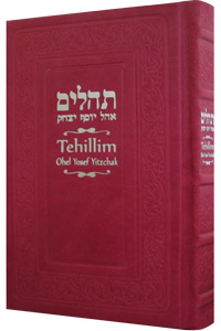 Tehillim with English Hot Pink Leather 5 x 8