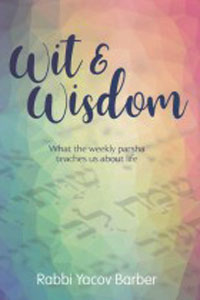 Wit & Wisdom - Paperback