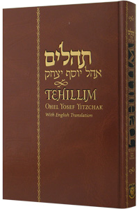 English Tehillim Ohel Yosef Yitzchak - 5 x 8