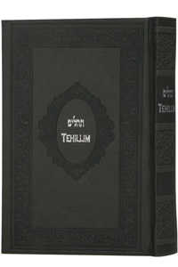 Tehillim with English Leather-like Grey Medium