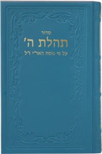 Siddur New Print Leather, Turquoise 6x9