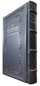 Siddur New Print Leather, Metallic-Slate 6x9