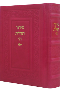 Siddur Medium New, Leather - Hot Pink 5 x 7