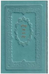 Leather-bound Tehillim - large size, Turquoise