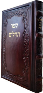 Tehillim Medium Leather Cherry  5 x 7