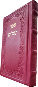 Tehillim Medium Leather Hot Pink 5 x 7