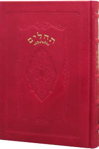 Tehillim Large Leather Hot Pink 6 x 9