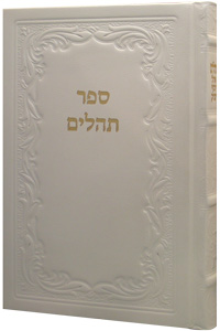 Tehillim Large Leather White 6 x 9