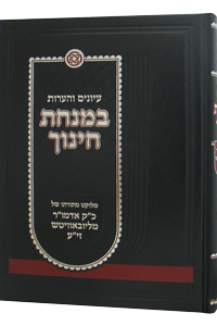 Hearos Veiyunim BeMinchas Chinuch