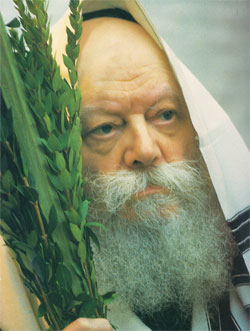 Rebbe holding Lulav 8.5 x 11