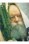 Rebbe holding Lulav 8.5 x 11