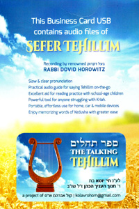 Talking Tehillim - USB card (MP3 files)